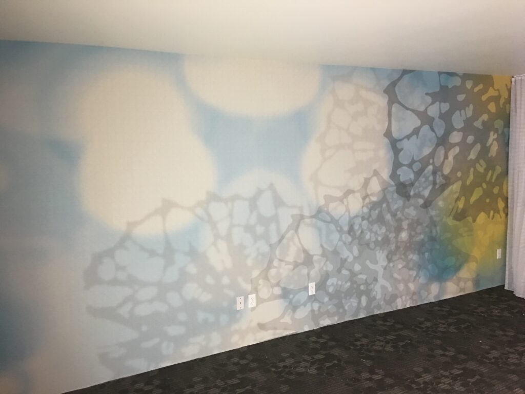 Luxury wall finish Seattle